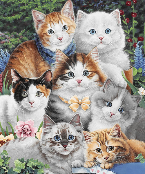 Soft Fleece Blankets w/Animal Designs, 60x50" Plush Bed and Sofa Throw