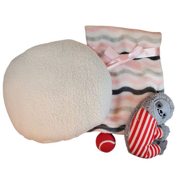 Pet Heartbeat Pillow Gift Bundle for Adopted Dog and Cat Stress Relief